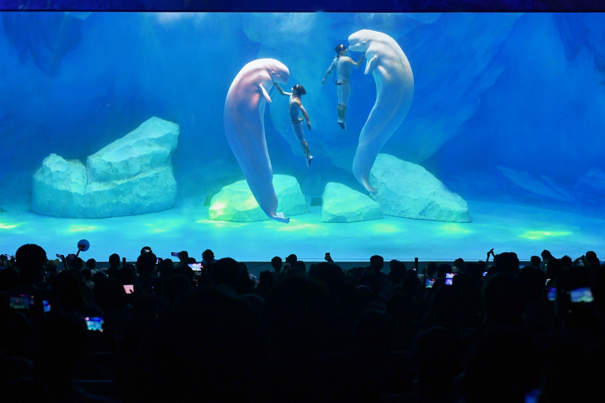 冰球突破-冰球电游豪华版_MG冰球游戏