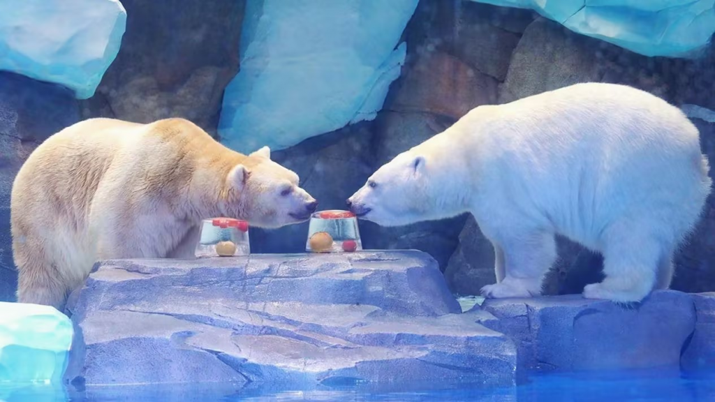 冰球突破-冰球电游豪华版_MG冰球游戏