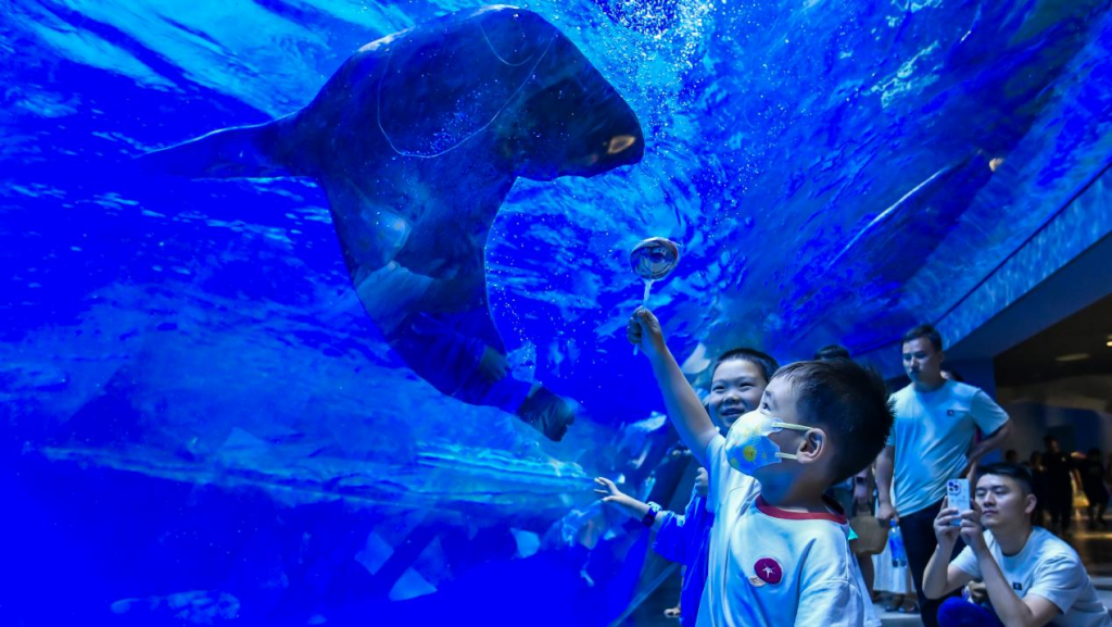 冰球突破-冰球电游豪华版_MG冰球游戏