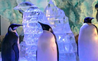 冰球突破-冰球电游豪华版_MG冰球游戏