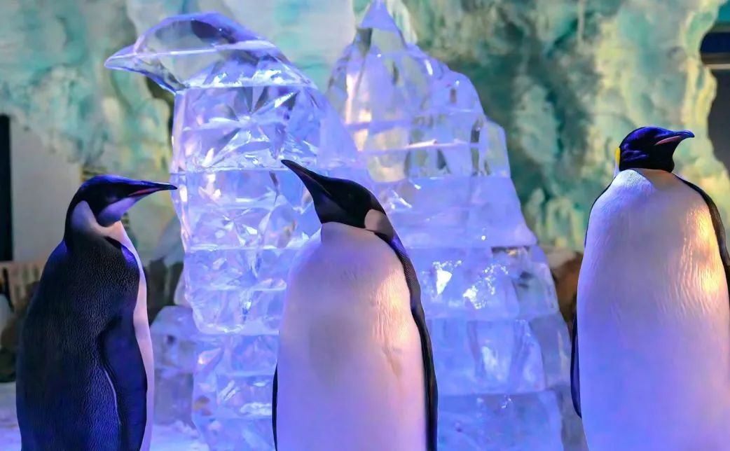 冰球突破-冰球电游豪华版_MG冰球游戏