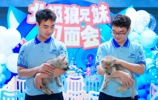 冰球突破-冰球电游豪华版_MG冰球游戏