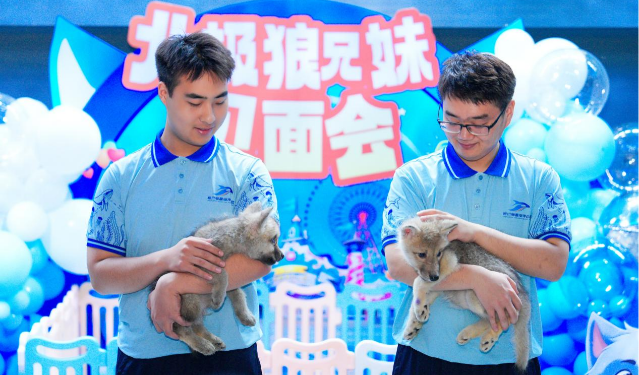 冰球突破-冰球电游豪华版_MG冰球游戏