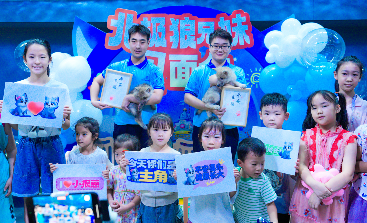 冰球突破-冰球电游豪华版_MG冰球游戏