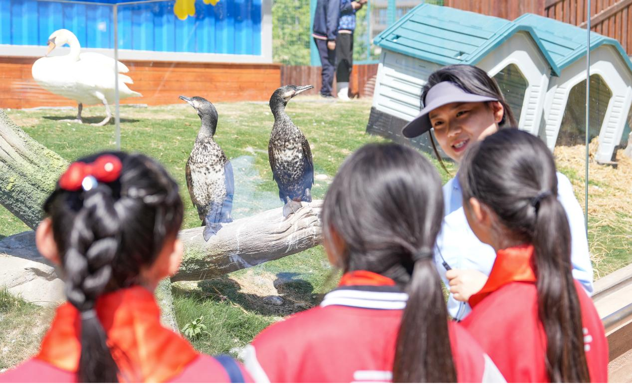 冰球突破-冰球电游豪华版_MG冰球游戏