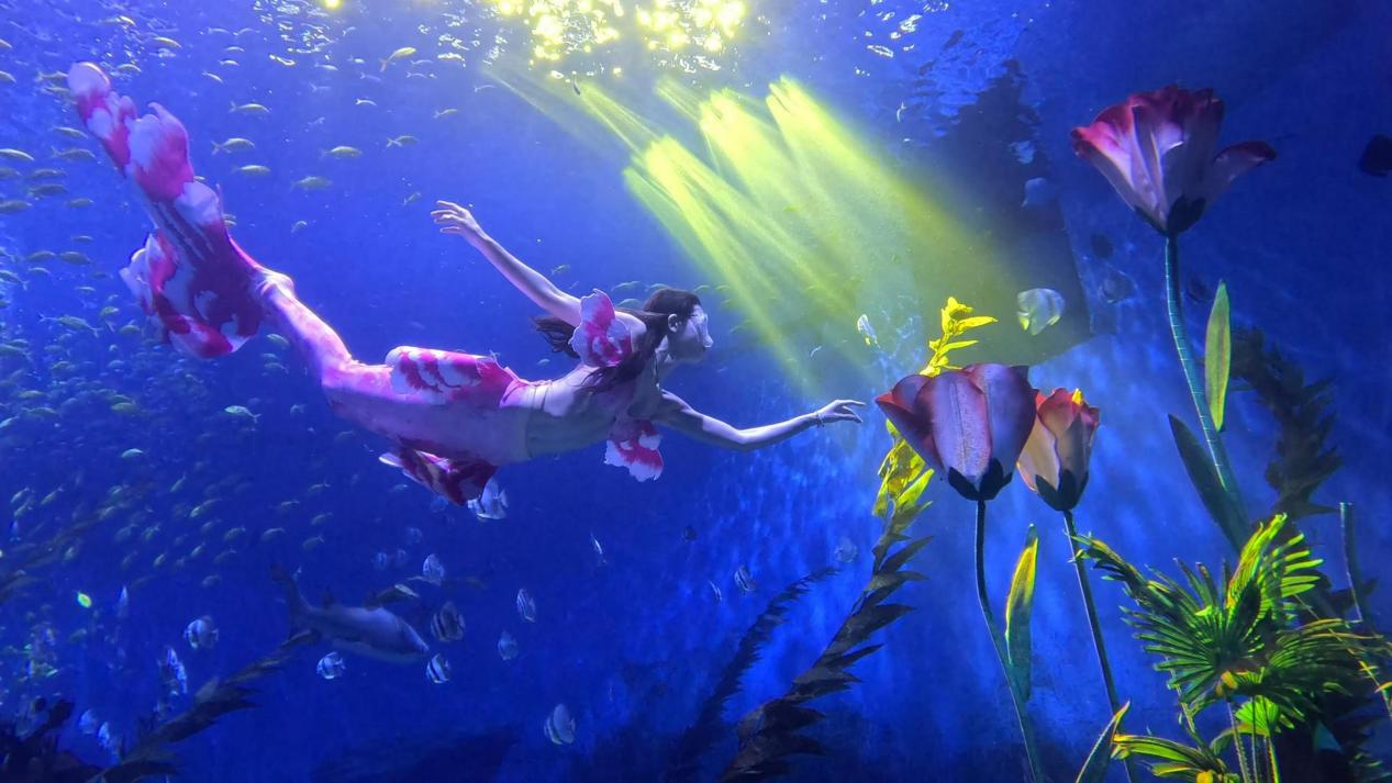 冰球突破-冰球电游豪华版_MG冰球游戏