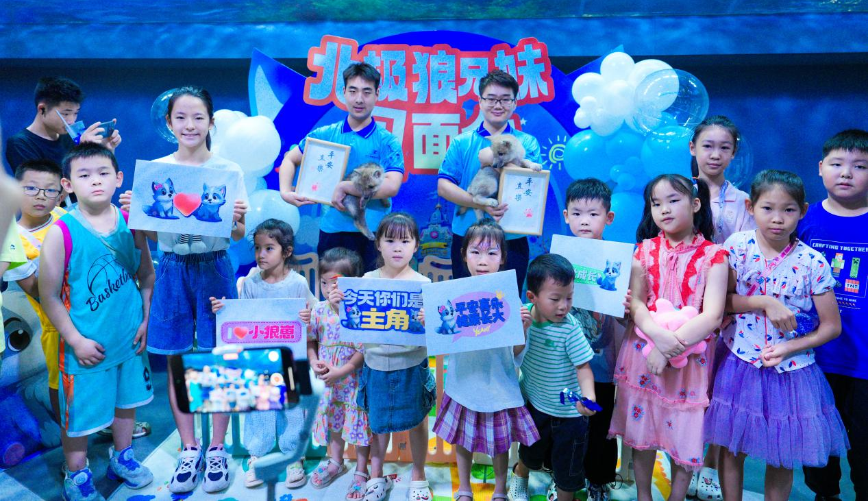 冰球突破-冰球电游豪华版_MG冰球游戏