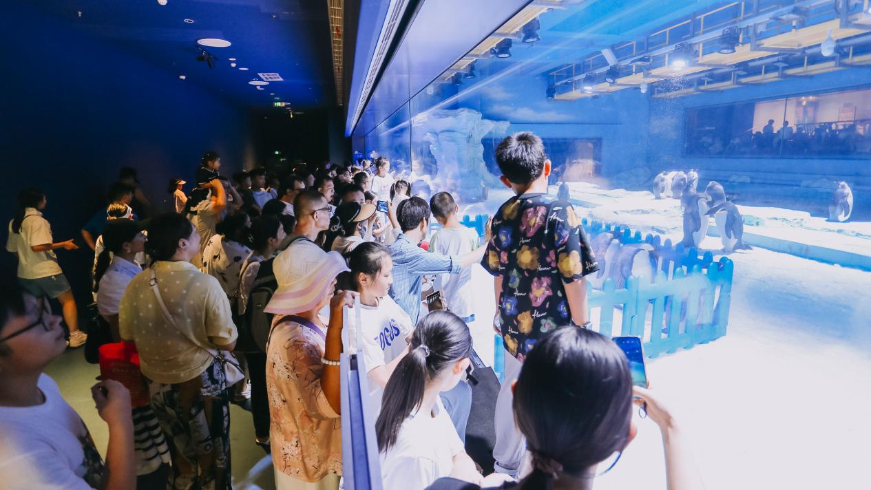 冰球突破-冰球电游豪华版_MG冰球游戏