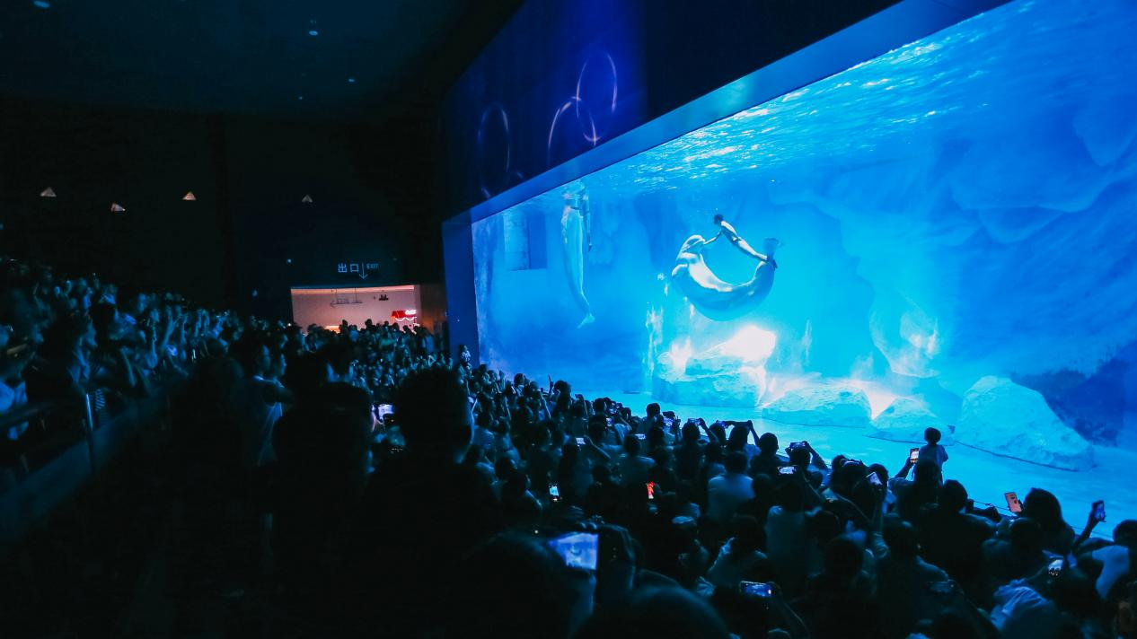 冰球突破-冰球电游豪华版_MG冰球游戏