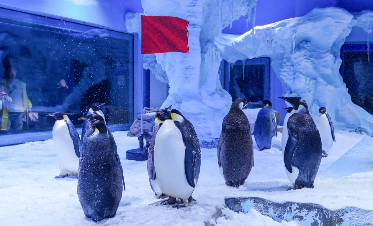 冰球突破-冰球电游豪华版_MG冰球游戏