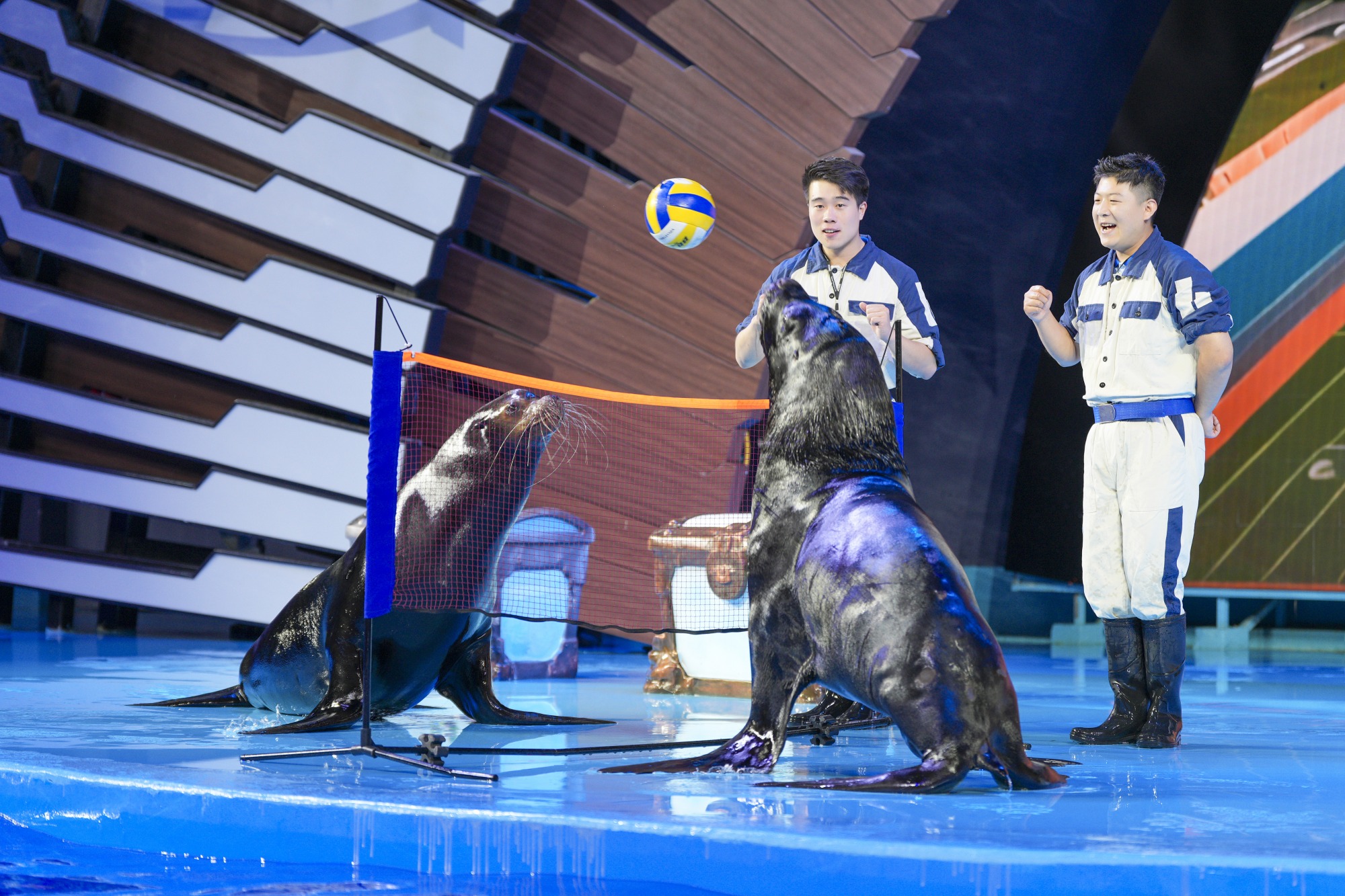 冰球突破-冰球电游豪华版_MG冰球游戏