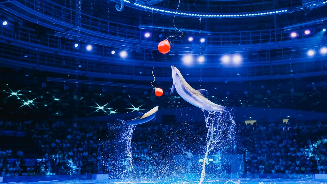 冰球突破-冰球电游豪华版_MG冰球游戏