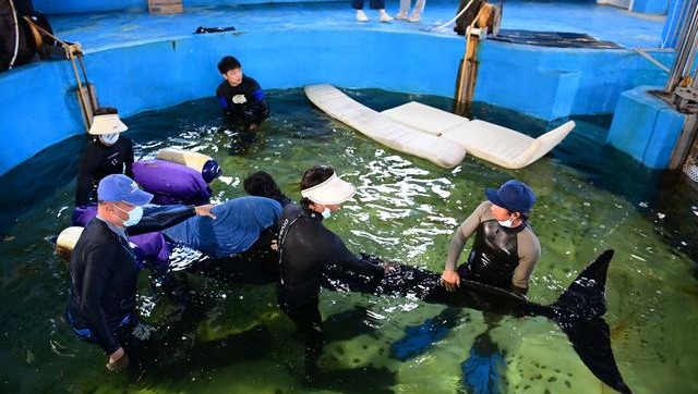 冰球突破-冰球电游豪华版_MG冰球游戏