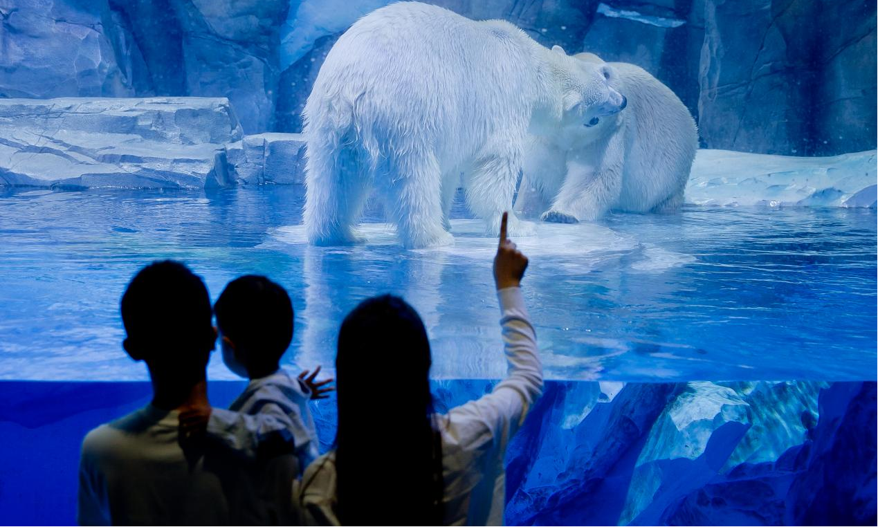 冰球突破-冰球电游豪华版_MG冰球游戏