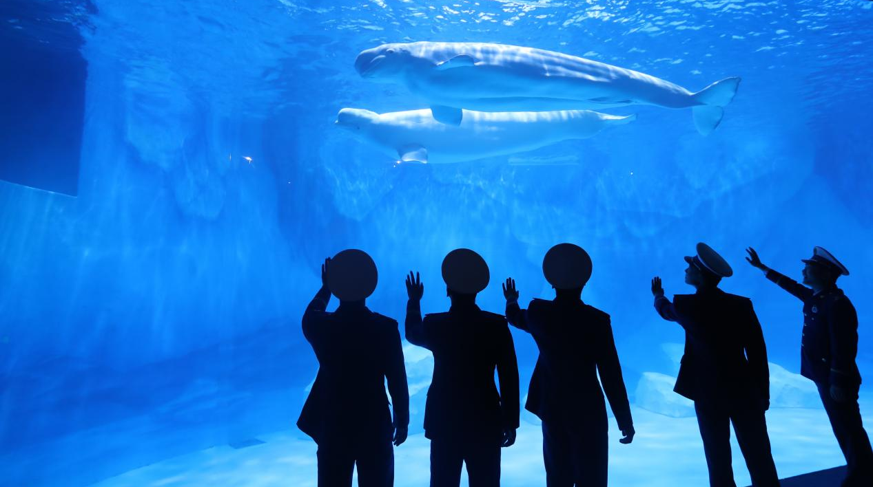 冰球突破-冰球电游豪华版_MG冰球游戏