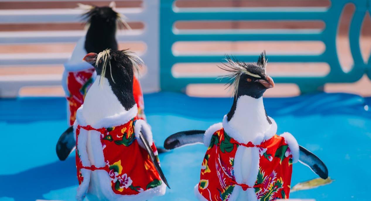 冰球突破-冰球电游豪华版_MG冰球游戏