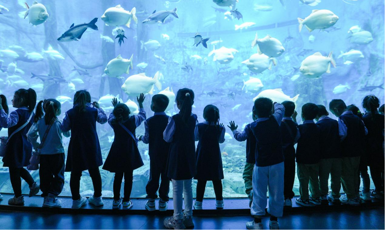 冰球突破-冰球电游豪华版_MG冰球游戏