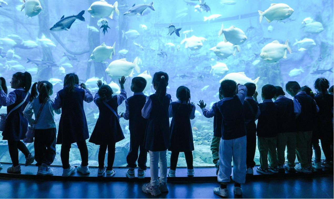 冰球突破-冰球电游豪华版_MG冰球游戏