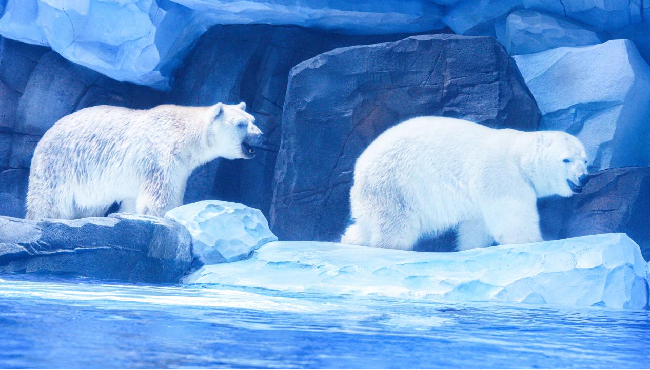 冰球突破-冰球电游豪华版_MG冰球游戏