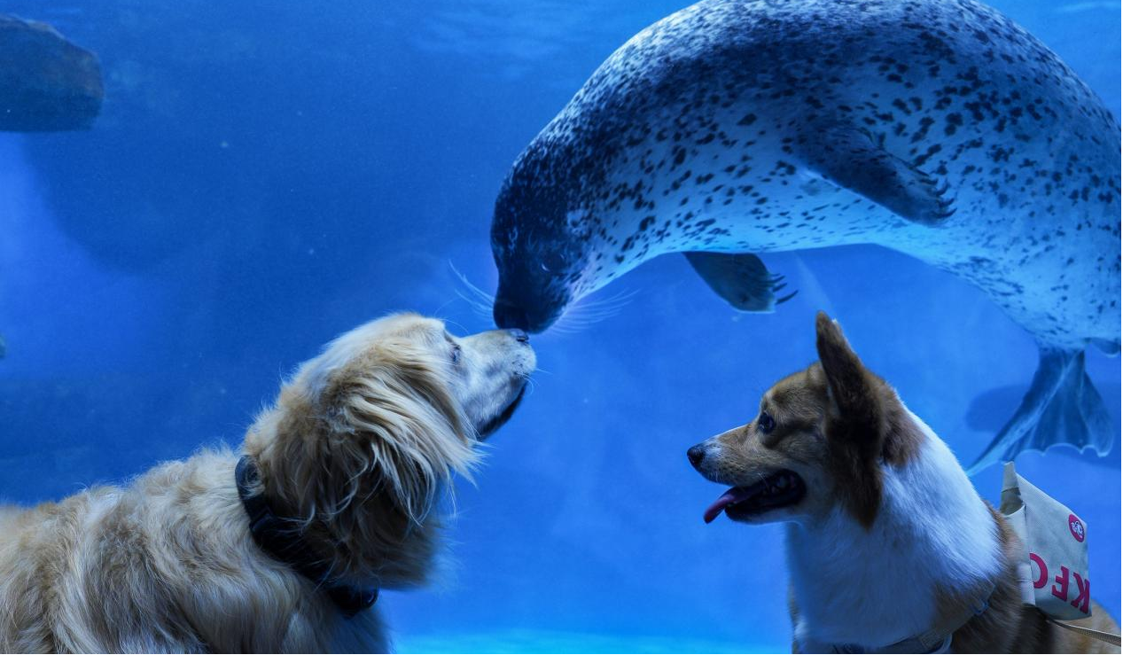 冰球突破-冰球电游豪华版_MG冰球游戏