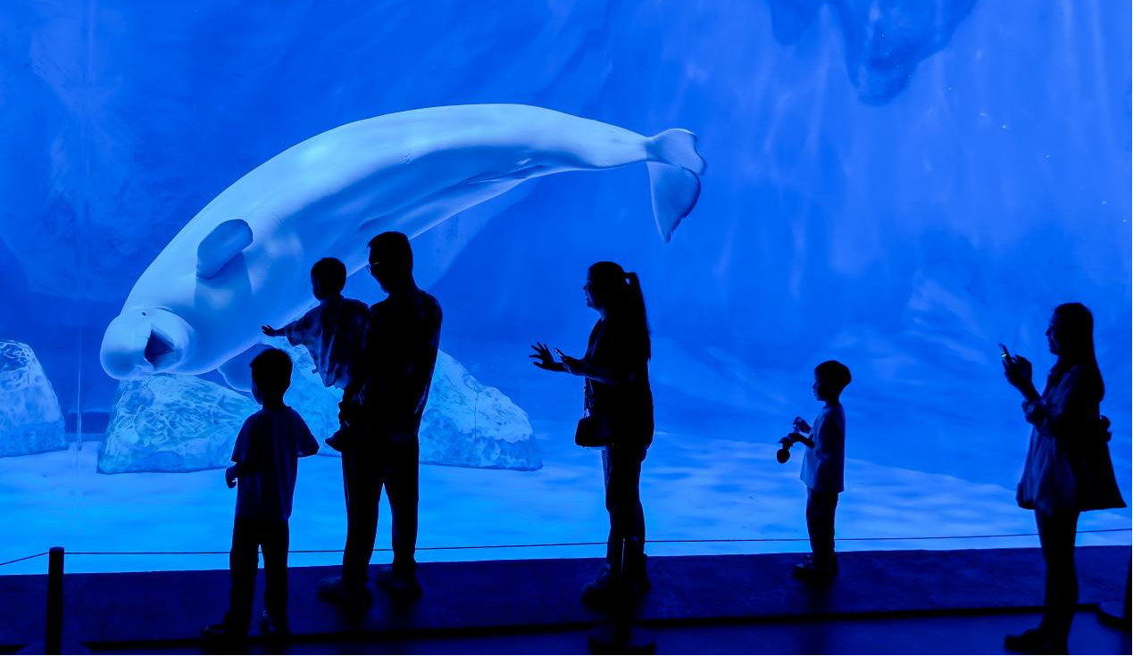 冰球突破-冰球电游豪华版_MG冰球游戏