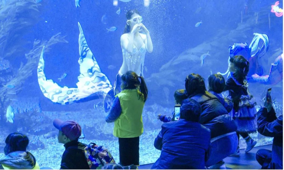 冰球突破-冰球电游豪华版_MG冰球游戏