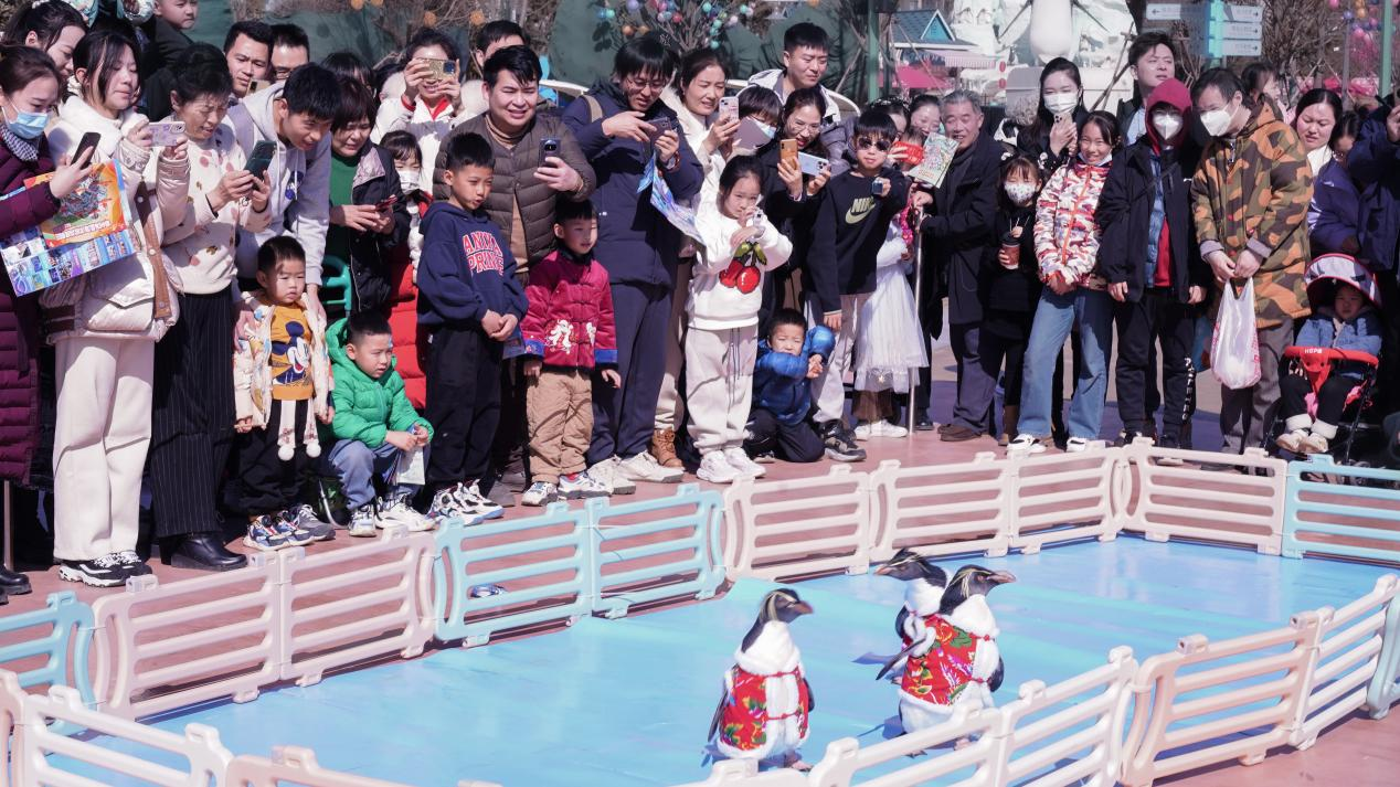 冰球突破-冰球电游豪华版_MG冰球游戏