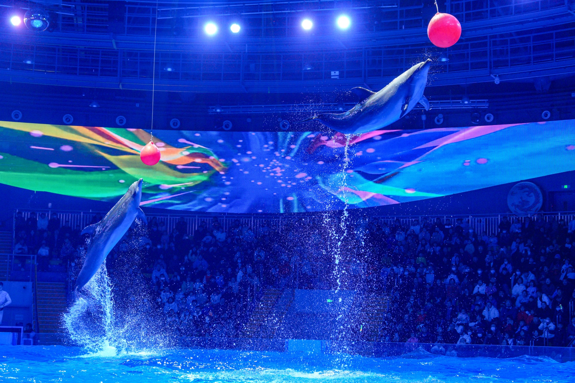 冰球突破-冰球电游豪华版_MG冰球游戏