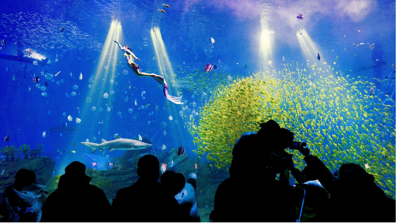 冰球突破-冰球电游豪华版_MG冰球游戏