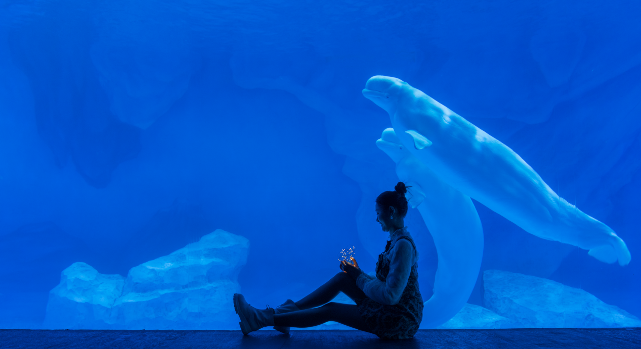 冰球突破-冰球电游豪华版_MG冰球游戏