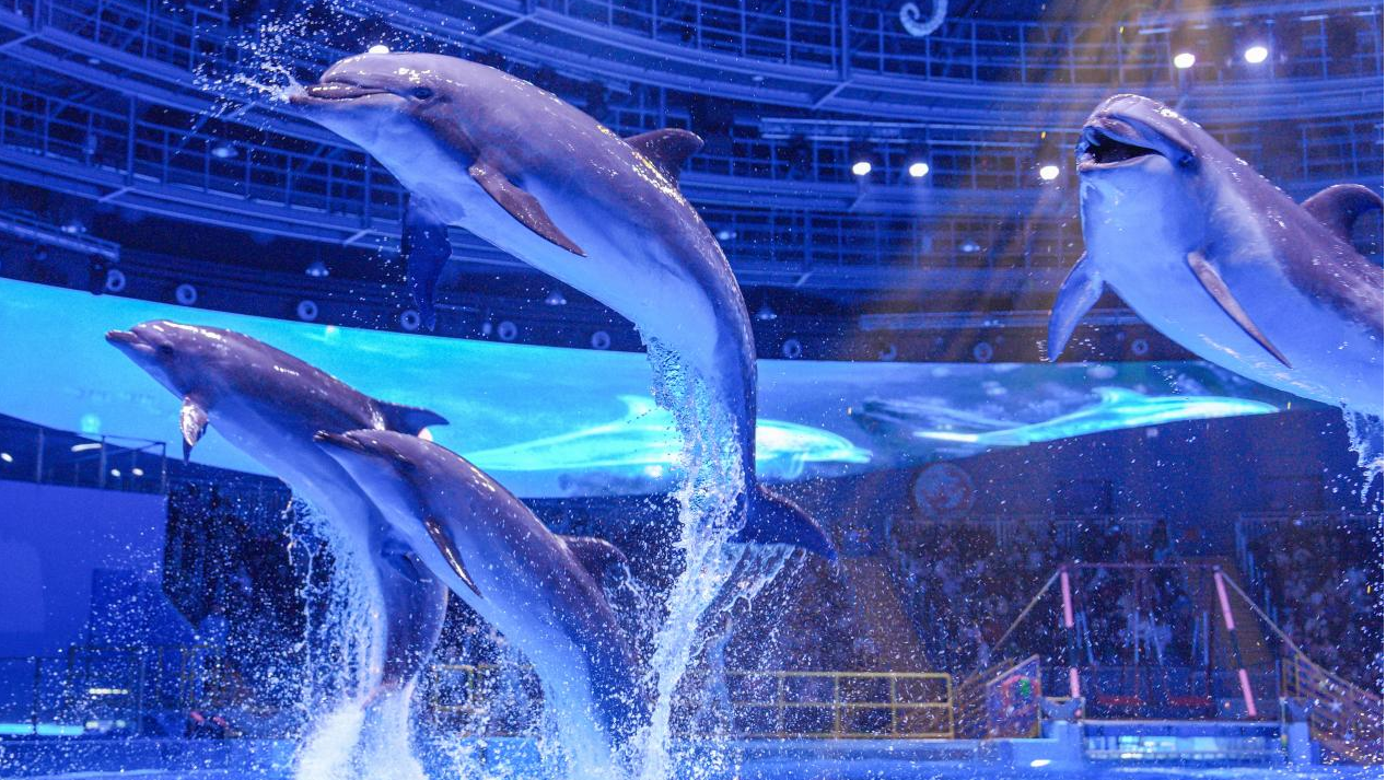 冰球突破-冰球电游豪华版_MG冰球游戏