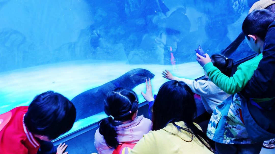 冰球突破-冰球电游豪华版_MG冰球游戏