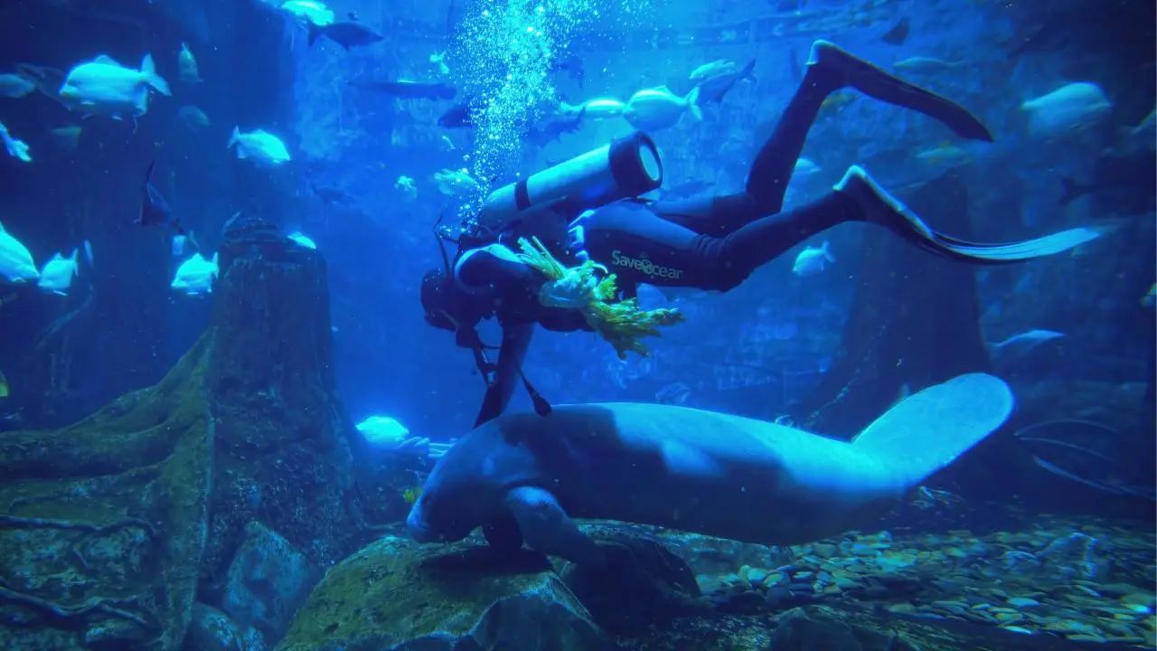 冰球突破-冰球电游豪华版_MG冰球游戏