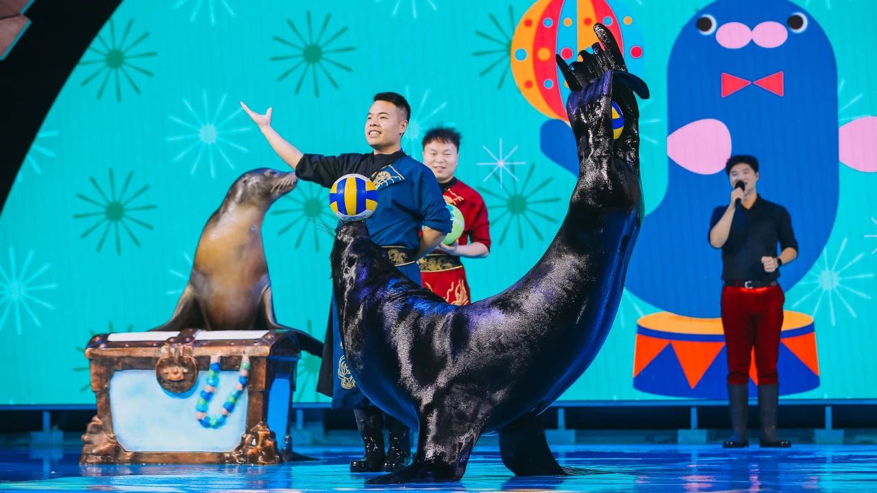 冰球突破-冰球电游豪华版_MG冰球游戏