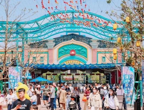 两大主题旅馆五一档满房！！！郑州冰球突破海洋公园打造多元沐日狂欢体验引爆假期客流！！！