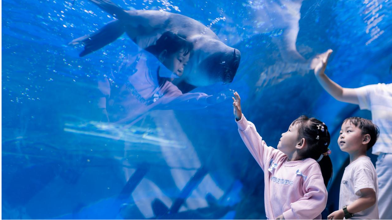 冰球突破-冰球电游豪华版_MG冰球游戏