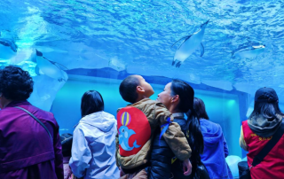 冰球突破-冰球电游豪华版_MG冰球游戏