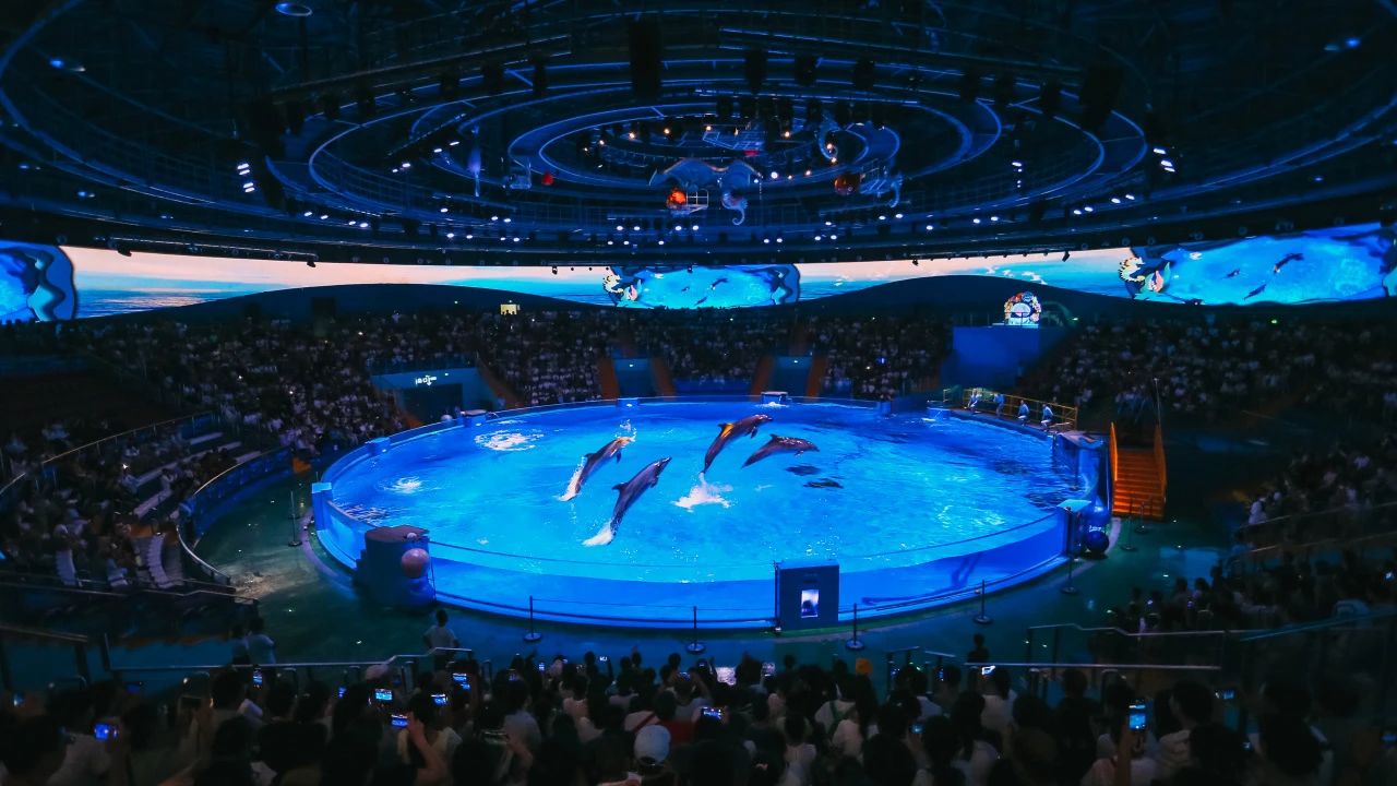 冰球突破-冰球电游豪华版_MG冰球游戏