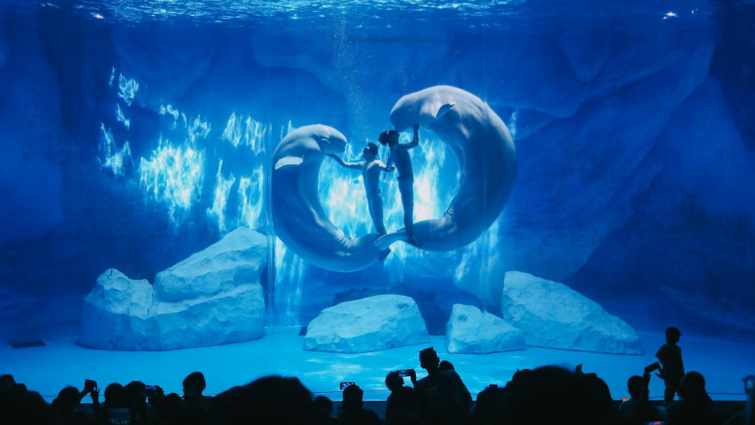 冰球突破-冰球电游豪华版_MG冰球游戏