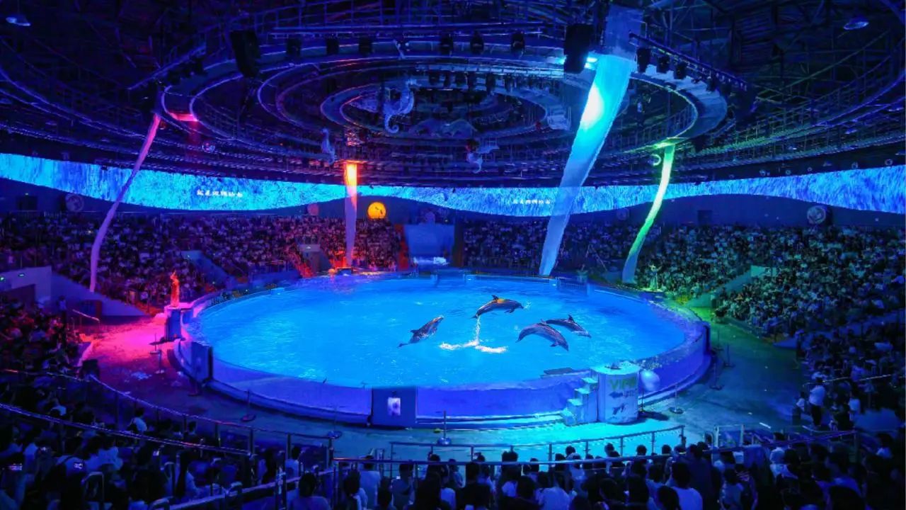 冰球突破-冰球电游豪华版_MG冰球游戏