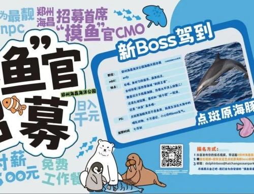 郑州冰球突破海洋公园月薪三万招募“首席摸鱼官”！！！中原将迎来首个点斑原海豚天团