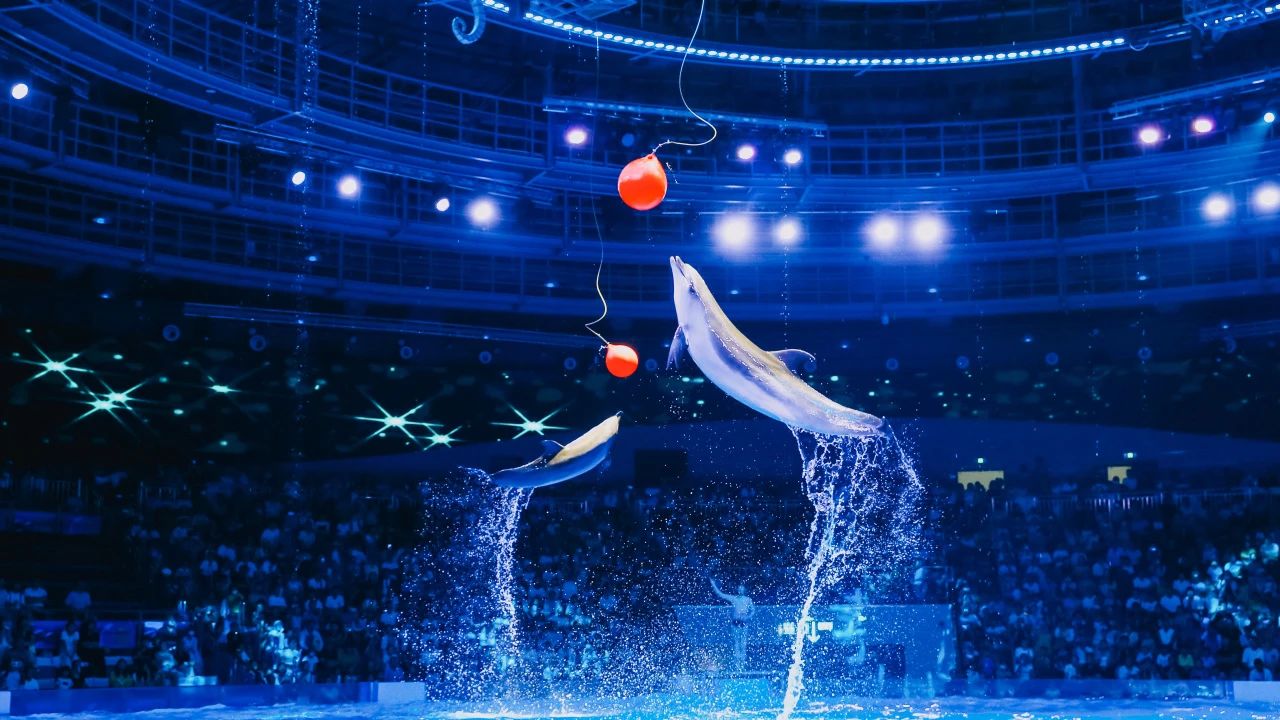 冰球突破-冰球电游豪华版_MG冰球游戏