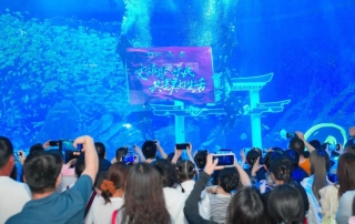 冰球突破-冰球电游豪华版_MG冰球游戏