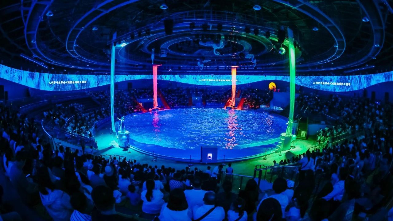 冰球突破-冰球电游豪华版_MG冰球游戏