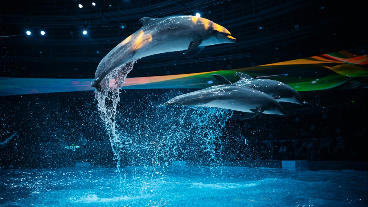 冰球突破-冰球电游豪华版_MG冰球游戏