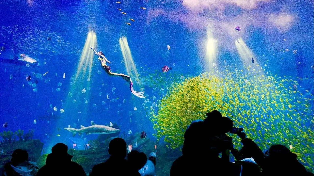 冰球突破-冰球电游豪华版_MG冰球游戏