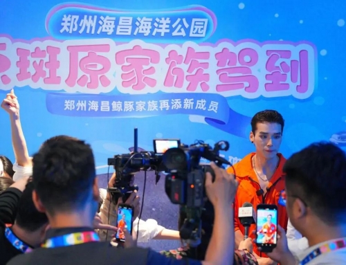 中原首次引进点斑原海豚，郑州冰球突破海洋公园打造鲸豚保育新标杆！！！