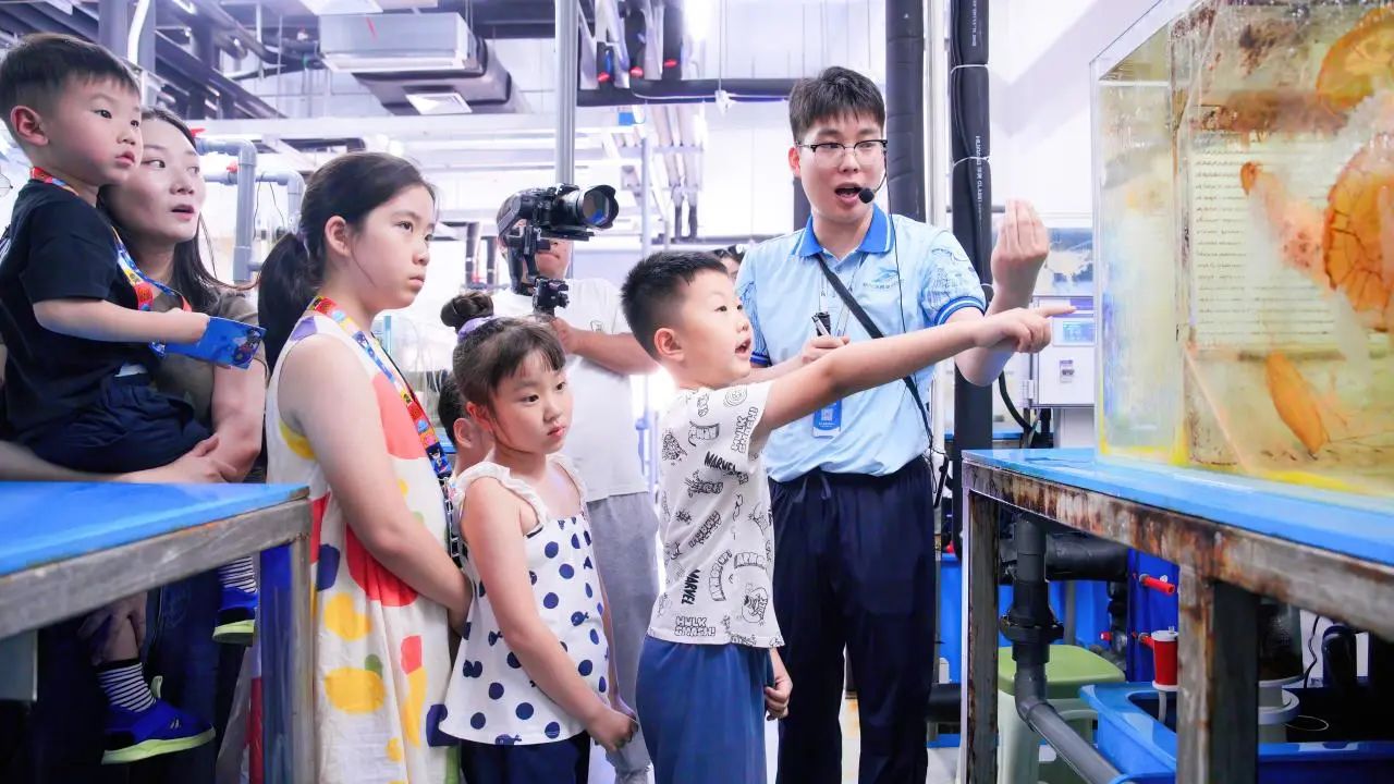 冰球突破-冰球电游豪华版_MG冰球游戏