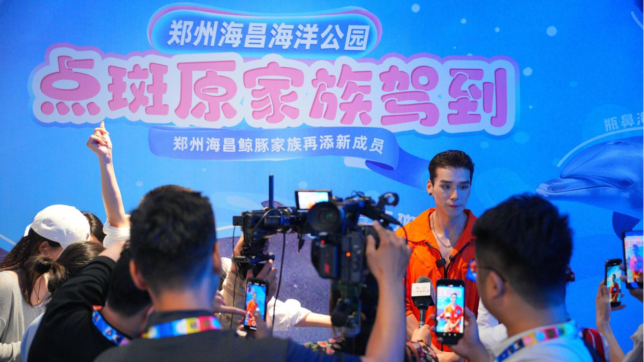 冰球突破-冰球电游豪华版_MG冰球游戏