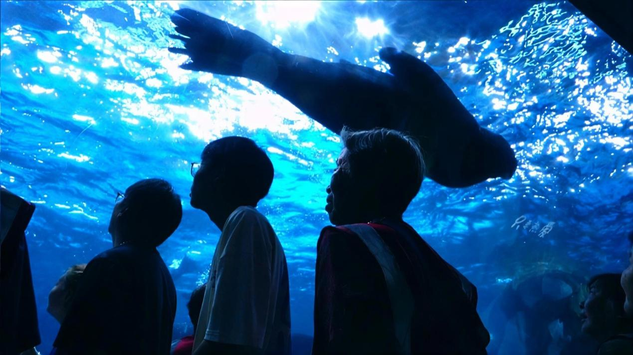 冰球突破-冰球电游豪华版_MG冰球游戏